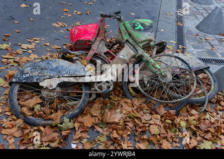 Parigi, Francia. 10 novembre 2024. Abbandonò Velib il 10 novembre 2024 a Parigi, in Francia. Credito: Gerard Crossay/Alamy Stock Photo Foto Stock