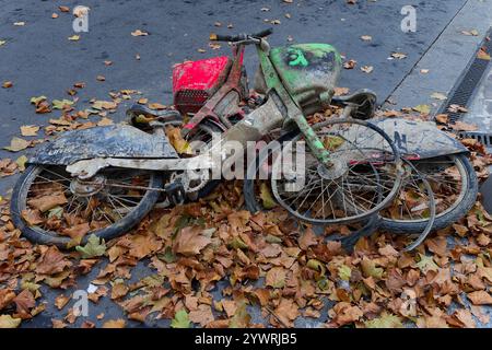 Parigi, Francia. 10 novembre 2024. Abbandonò Velib il 10 novembre 2024 a Parigi, in Francia. Credito: Gerard Crossay/Alamy Stock Photo Foto Stock