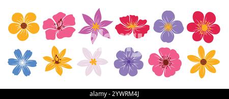 Set colorato per disegno clipart fiore. Collezione di fiori primaverili come narcidi, camomilla, margherita, narciso, croco, jasmine, papavero e clip art phlox Illustrazione Vettoriale