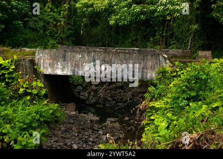 Vecchio ponte sulla strada per Hana, Maui, Hawaii Foto Stock