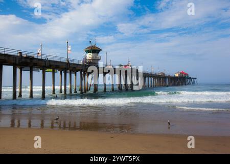 Uccelli sulla costa al molo di Huntington Beach Foto Stock