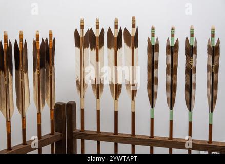 Museo di artigianato tradizionale Edo Shitamachi nel quartiere Asakusa di Tokyo Foto Stock