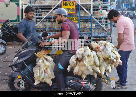 Un dipendente di un ristorante parte in moto con pacchetti appena acquistati di polli vivi legati ai piedi; Mumbai, India Foto Stock