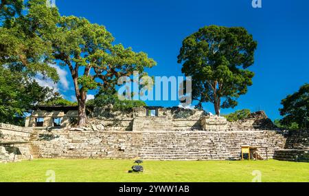 Corte Est del sito archeologico Maya di Copan. Patrimonio mondiale dell'UNESCO in Honduras Foto Stock