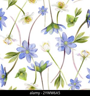 Fiori di ephemera primaverile, hepatica blu Forget-me-Not lino, anemone della foresta bianca, erba, disegnata a mano con acquerello. Motivo senza cuciture Foto Stock