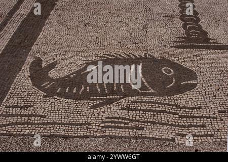 Arte romana Ostia Antica. Città portuale dell'antica Roma. Dettaglio di un mosaico proveniente da uno degli uffici del foro o da Piazza delle Cor Foto Stock