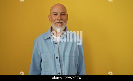 Bell'uomo con barba matura e capelli grigi con una camicia blu su uno sfondo giallo isolato Foto Stock