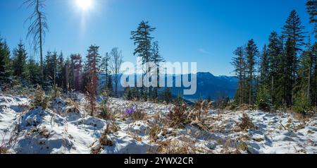 Una serena vista invernale mostra montagne coperte di neve sotto un sole luminoso. Alberi sempreverdi incorniciano il paesaggio, aggiungendo alla pittoresca natura del Foto Stock