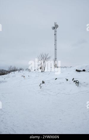 Un terreno innevato presenta una torre di comunicazione solitaria in mezzo a un tranquillo ambiente invernale a Stoccolma. Foto Stock