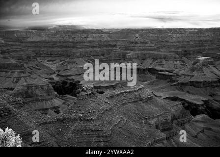 Immagine a infrarossi nel tardo pomeriggio nel Grand Canyon Arizona Foto Stock