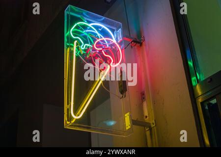 Gelato al neon con etichetta colorata a forma di contorno, giallo rosso verde e blu. montato sulla facciata in un armadio in plexiglass trasparente Foto Stock