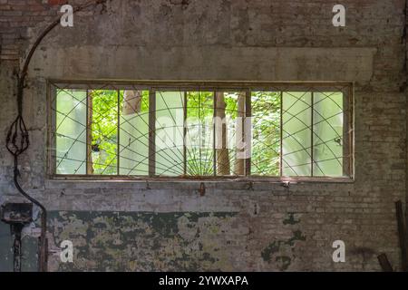 Un edificio abbandonato a Berlino con finestre rotte che si affacciano su una foresta verde Foto Stock