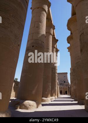 Colonne nel tempio di Amon, Luxor, Egitto Foto Stock