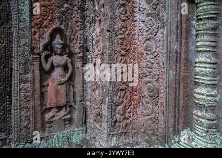 Cambodge, Cambogia, 2024-02-25, Siem Reap, Angkor Temple, TA Prohm, Khmer, rovine, rovine, scultura khmer, regno khmer, bassorilievo, arte tradizionale Foto Stock