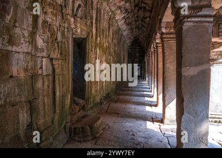Cambodge, Cambogia, 2024-02-25, Siem Reap, Angkor Temple, Angkor VAT, Khmer, rovine, scultura, architettura, arte, bassorilievo, regno Khmer Foto Stock