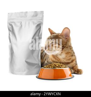 Gatto carino che giace vicino alla confezione in alluminio e alla ciotola di cibo secco per animali su sfondo bianco Foto Stock