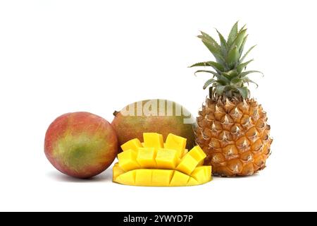 Una splendida disposizione di frutta tropicale colorata, tra cui mango e ananas, perfetta per temi di stile di vita fresco e sano. Foto Stock