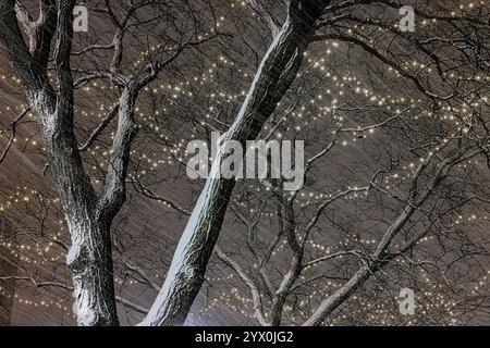 Effetto lago che soffia la neve contro i treet Street sulla Main Street di Ann Arbor, Michigan, Stati Uniti Foto Stock