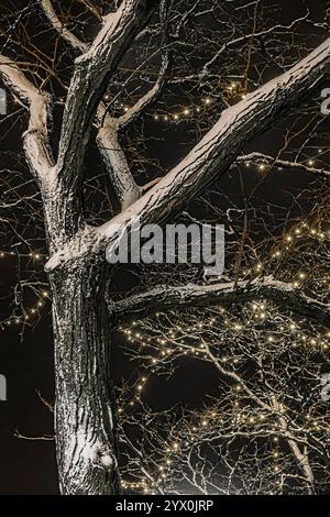 Effetto lago che soffia la neve contro i treet Street sulla Main Street di Ann Arbor, Michigan, Stati Uniti Foto Stock