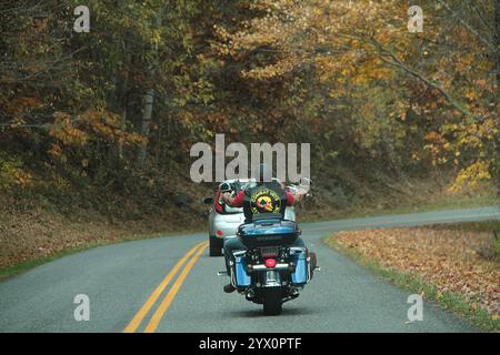 Prosegui su Blue Ridge Parkway, Virginia, Stati Uniti Foto Stock