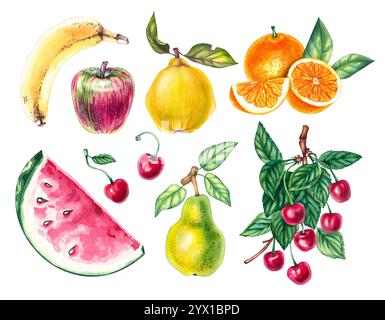 Acquerelli piante verdure illustrazioni botaniche Foto Stock