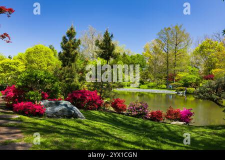 Paesaggio tranquillo caratterizzato da vivaci fiori, laghetto e bellezza naturale sotto il cielo limpido Foto Stock