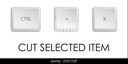 Combinazione di tasti di taglio. Scelta rapida da tastiera per eseguire rapidamente il comando nel sistema operativo. Vettore isolato su sfondo bianco Illustrazione Vettoriale