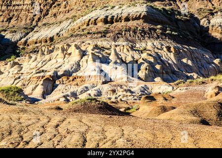 Una collina rocciosa con alcune piante che crescono su di essa. Le piante sono scarse e la collina è arida Foto Stock