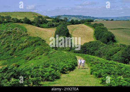 Symondsbury: Vista dal Colmer's Hill of Path con due camminatori e campi a Bridport, Dorset, Inghilterra, Regno Unito Foto Stock