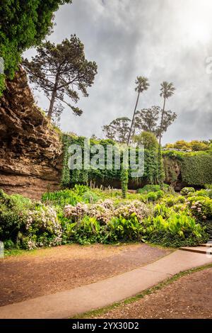 Umpherston Sinkhole Cave Gardens, vista dal fondo, Mt Gambier, Limestone Coast, Australia meridionale Foto Stock