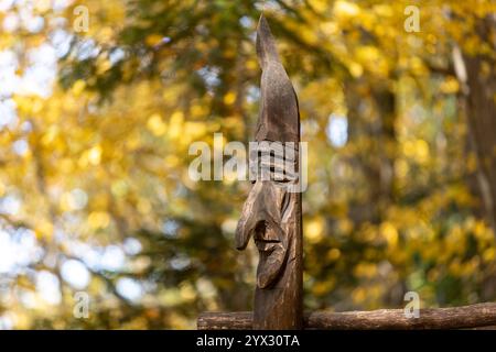 una testa scolpita in legno da un artista sconosciuto sullo sfondo di una foresta dai colori autunnali Foto Stock