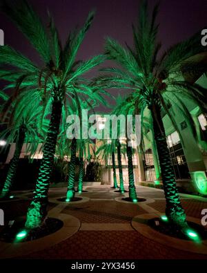 Vibrante scena notturna caratterizzata da palme illuminate che brillano di luci verdi, creando un contrasto sorprendente con un edificio moderno e una serata buia Foto Stock