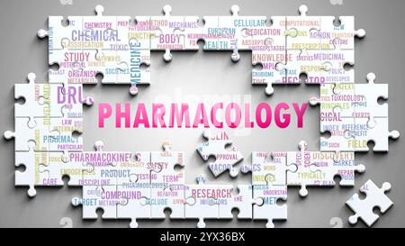 La farmacologia è un argomento complesso, correlato ad altri argomenti importanti. Foto Stock