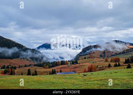 Nebbia mattutina sull'Alpe di Siusi nelle Dolomiti, Italia. Foto Stock