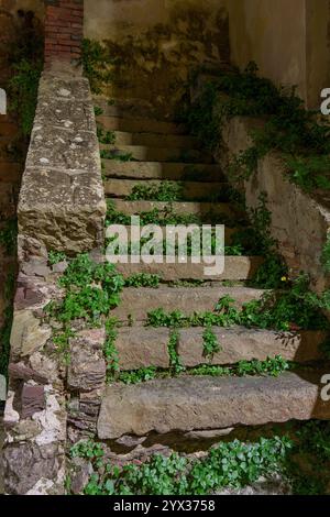 Scale di pietra molto vecchie, danneggiate, ricoperte di piante Foto Stock