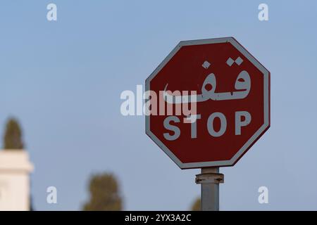 Segnale stradale DI STOP, in arabo, su sfondo sfocato Foto Stock