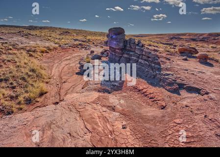 Dry creek in Dead Wash presso Petrified Forest, Arizona Foto Stock