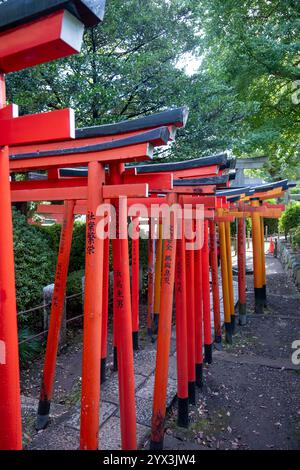 Le porte rosse dei tori fiancheggiano un sentiero in un parco. Foto Stock