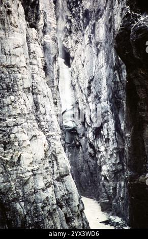 Weisse Lütschine, canyon della gola del fiume Lutschen, Gletscherschlucht, Grindelwald, Cantone di Berna, Svizzera, Europa 1961 1961 Foto Stock