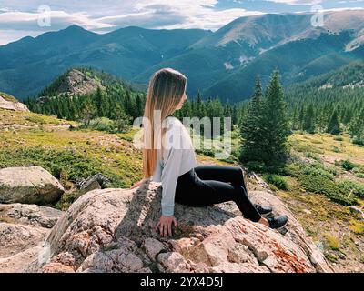 Viaggi di lusso Foto Stock