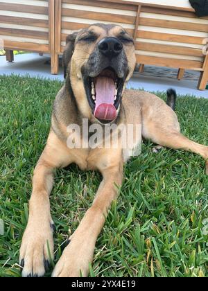 Viaggi di lusso Foto Stock