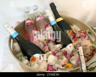 Viaggi di lusso Foto Stock