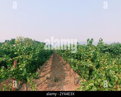 Viaggi di lusso Foto Stock