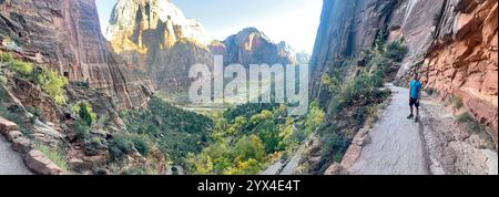 Viaggi di lusso Foto Stock