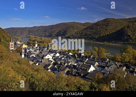 Vista di Bacharach sul Reno in autunno dal sentiero per escursioni a lunga distanza RheinBurgenWeg, patrimonio dell'umanità dell'UNESCO, Valle del Reno medio superiore, Rhinelan Foto Stock