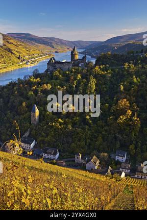 Vista di Bacharach con il castello di Stahleck, il castello in cima alla collina sopra il Reno, l'alta valle del Medio Reno in autunno, la Renania-Palatinato, la Germania, l'Europa Foto Stock