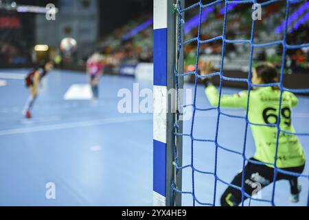 Dettaglio della pallamano obiettivo post con net e pallamano match in background. Foto Stock