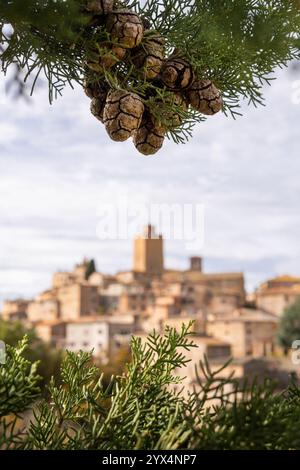 Vista da cartolina del villaggio collinare di Petroio attraverso i rami di cipressi in Toscana, Italia. Orientamento verticale Foto Stock