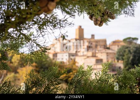 Vista da cartolina del villaggio collinare di Petroio attraverso i rami di cipressi in Toscana, Italia. Foto Stock