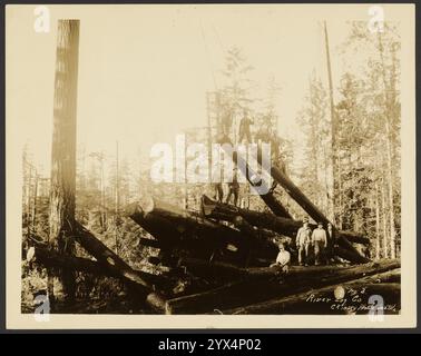 Registratori, circa 1910-1930. Ritratto informale di gruppo di undici taglialegna posati senza sosta su una grande pila di tronchi di legno grezzo scuro. Cinque degli uomini hanno salito due tronchi inclinati verso l'alto con un angolo ripido e collegati a un meccanismo a puleggia non visibile nel telaio. Foto Stock